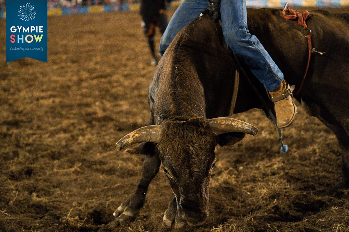 Gympie Bull n Bronc