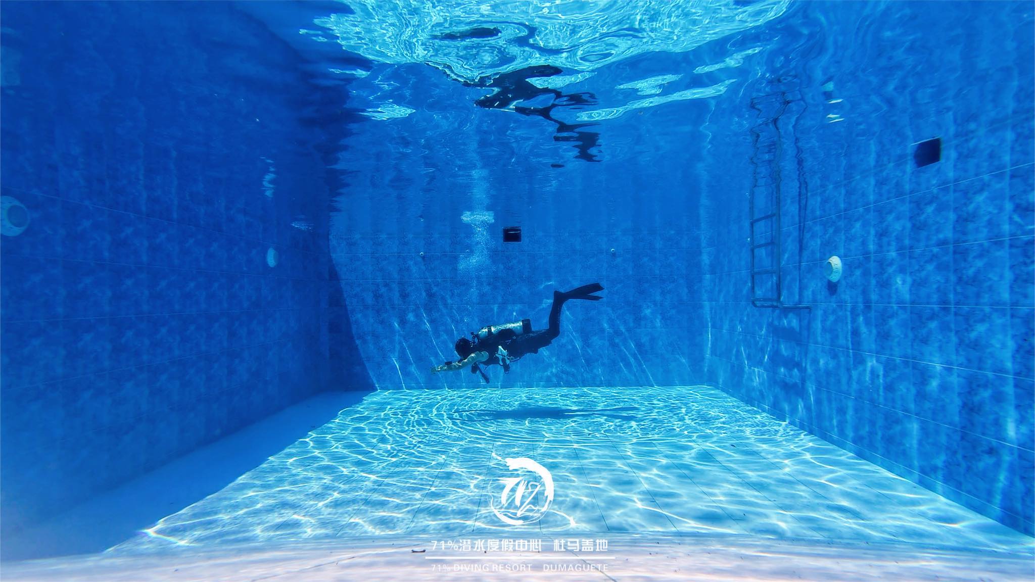 71% - Some Simple Diving Knowledge: Diving Involves Understanding ...