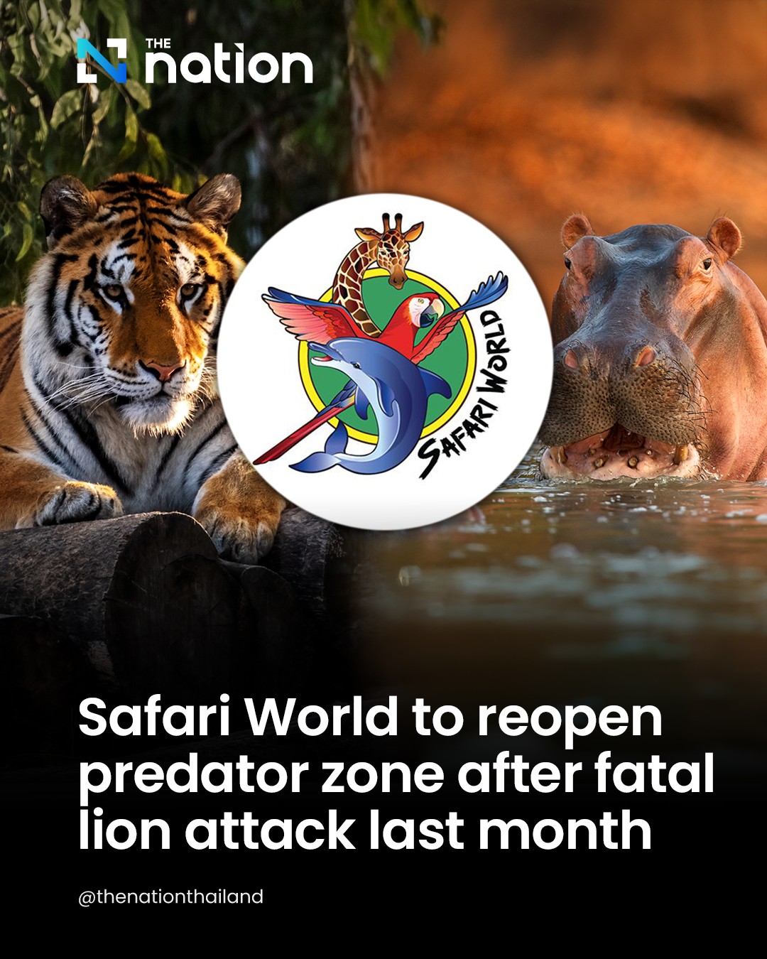 The Nation - Safari World has announced that it will reopen the ...
