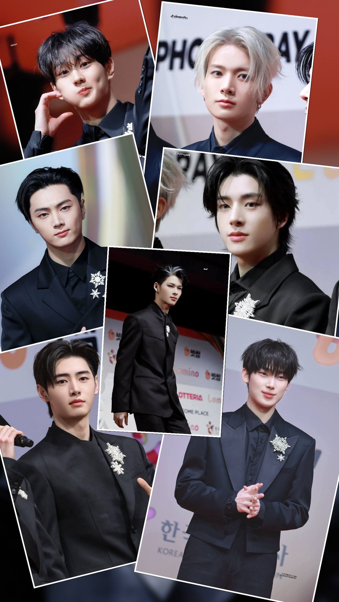 Chicago loves Enhypen 🫰 #엔하이픈 #ENHYPEN
