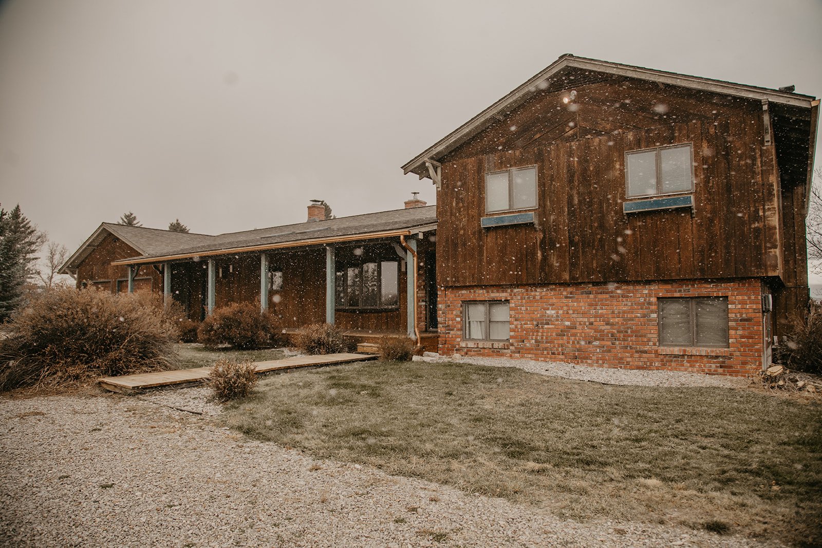 Sharptail Ridge Bird Dogs & Lodge | Lewistown MT