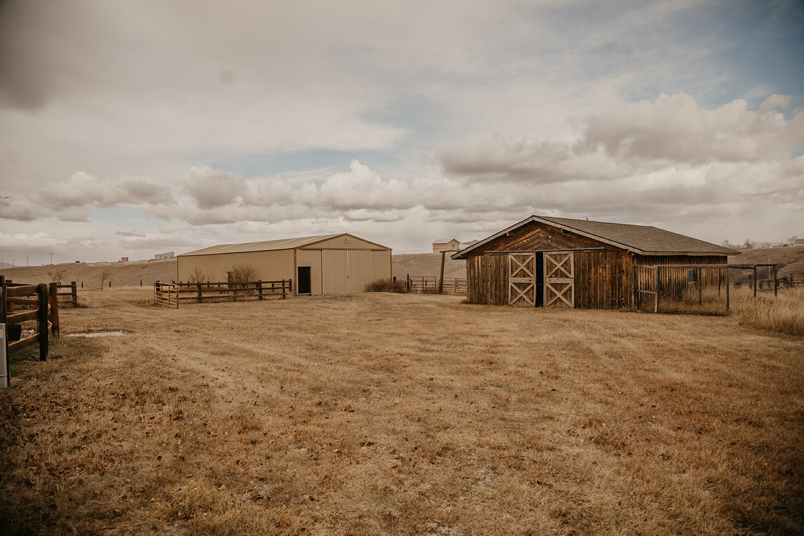 Sharptail Ridge Bird Dogs & Lodge | Lewistown MT