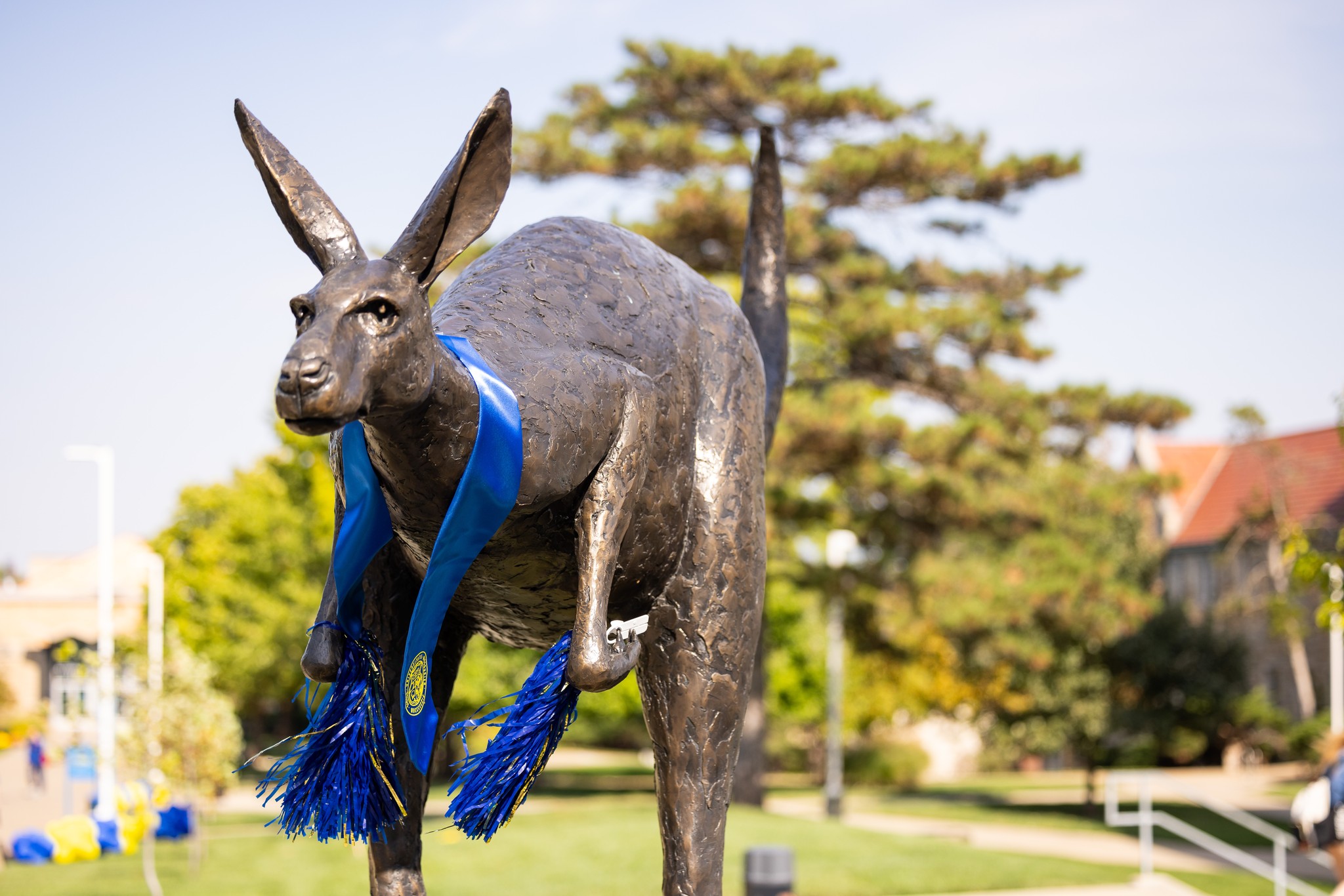 UMKC - Introducing the Blue and Gold Distinguished Award,... | Facebook