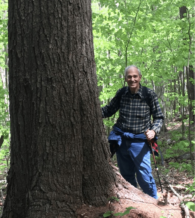 Nashoba - PEPPERELL’S FORESTS & SHADE TREES: WHY THEIR PROTECTION ...
