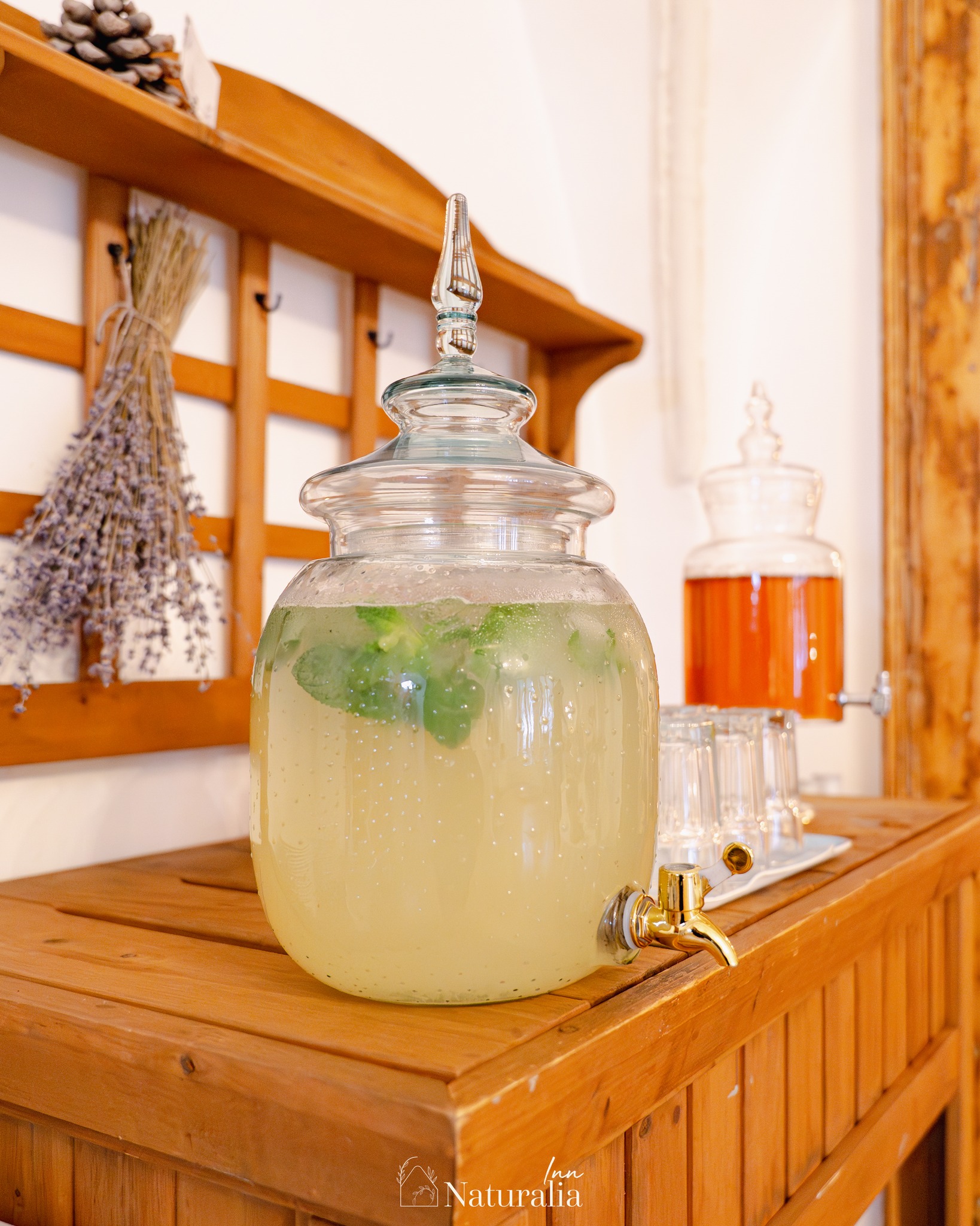 Naturalia Inn | Brasov