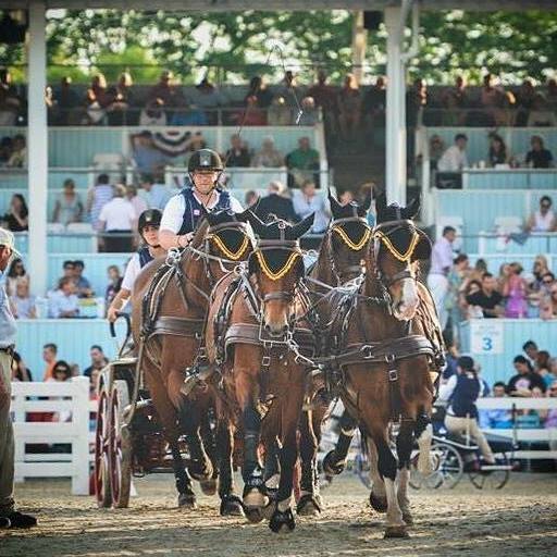 North American Carriage & Scurry Racing