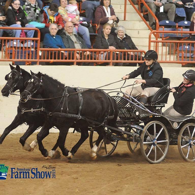 North American Carriage & Scurry Racing