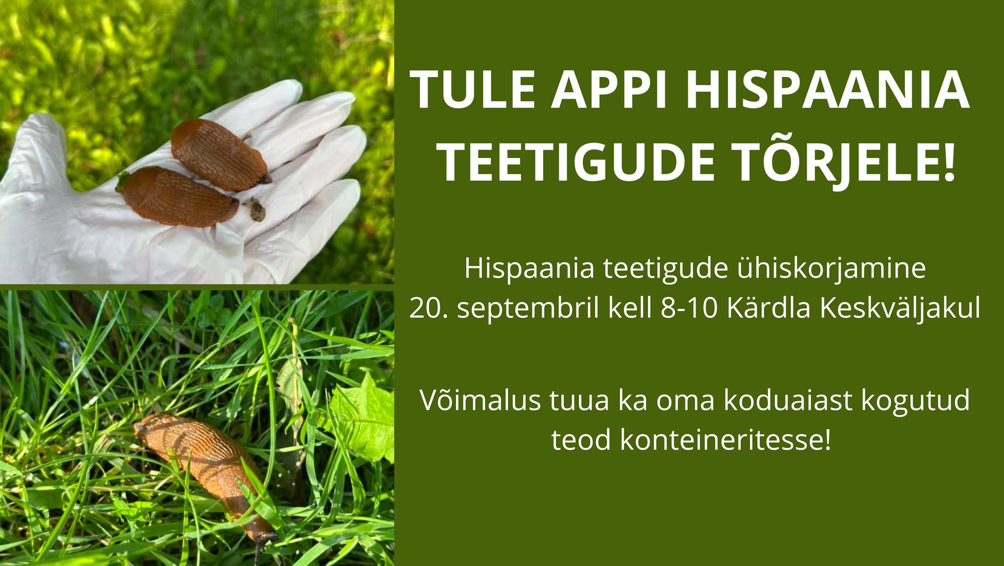 Hiiumaa vald - Täna on Hiiumaal Majandus- ja ...