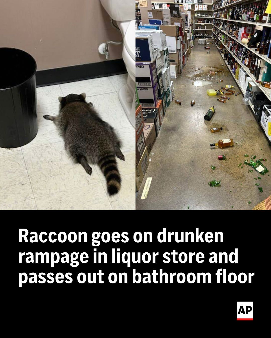 AP - bit.ly/3K6L7ME The masked burglar broke into the closed Virginia ...