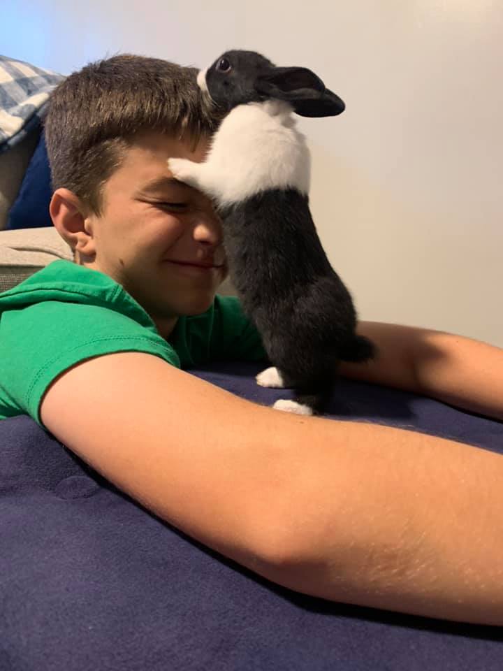 Ruthie’s Dutch Rabbitry