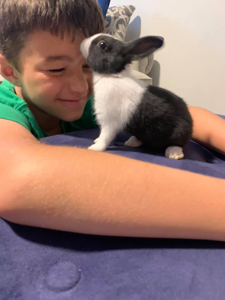 Ruthie’s Dutch Rabbitry