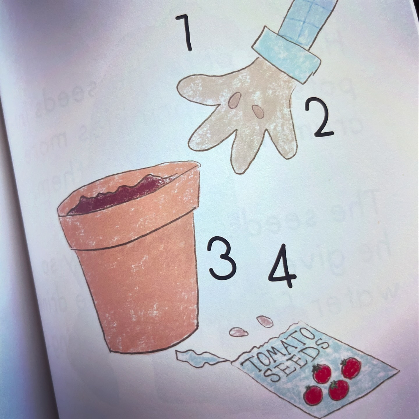 Herbert - 🌱 🍅 SOWING THE SEEDS OF NUMERACY 🤩🌱 Learning to count is ...