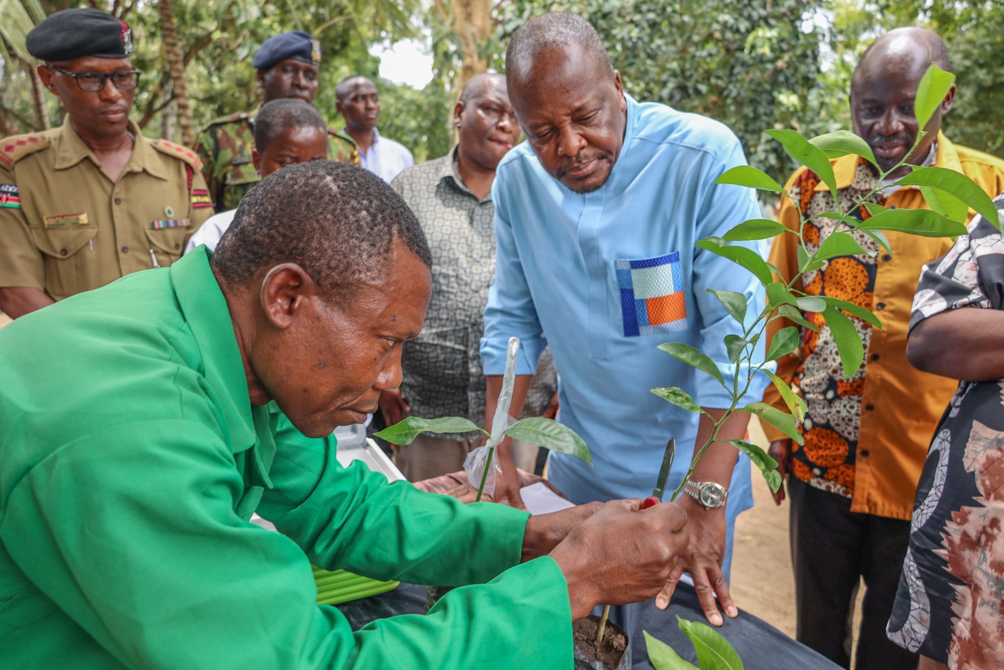 KENYA IMPORTS 5 BILLION EGGS ANNUALLY, MOVE TERMED UNSUSTAINABLE AND ...