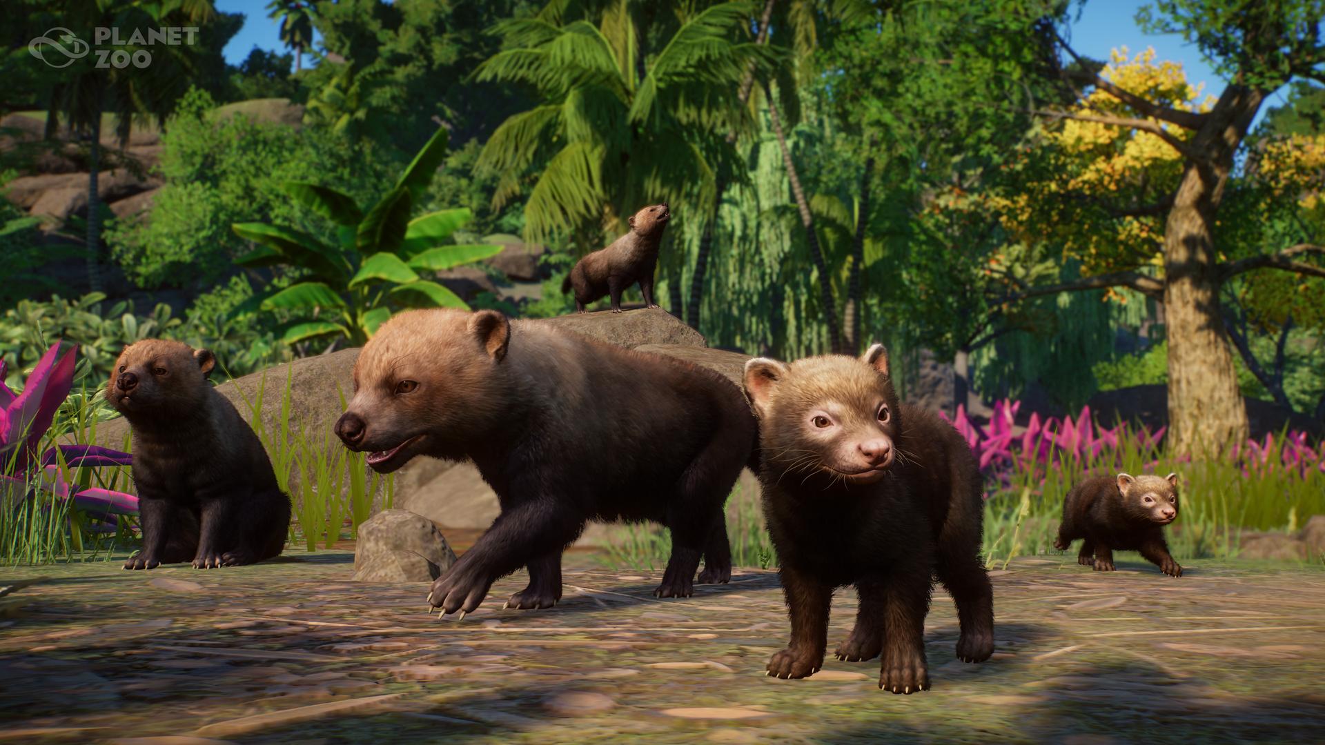 Planet Zoo - Say hello to the Bush Dog! These natives of the Amazon ...