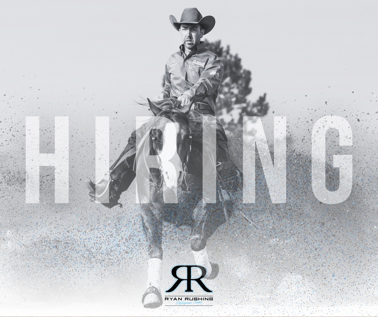 Ryan Rushing Performance Horses | Fort Collins CO