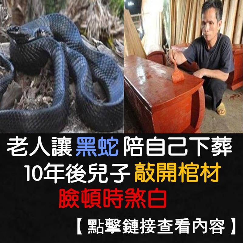 神烦XP - 老人讓黑蛇陪自己下葬，10年後兒子敲開棺材，臉頓時煞白！ 點擊查看答案：... | Facebook
