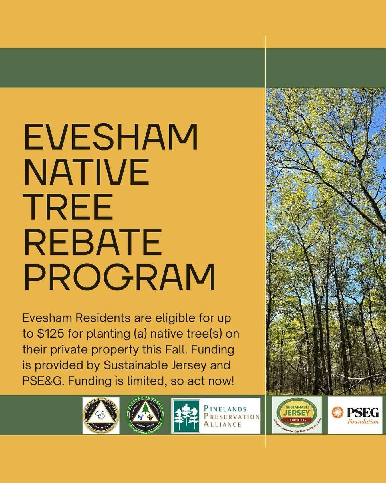 ANJEC - Thinking about planting a tree this fall? 🌳 Residents can ...