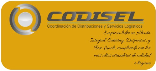 Codisel SA De CV | Tuxtla Gutiérrez