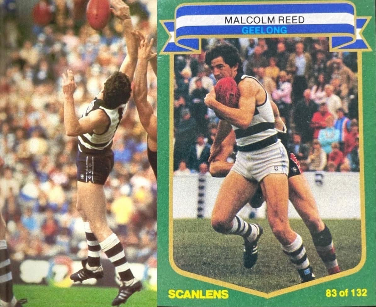 VFL... - VFL AFL 20th Century History Photos Videos Memories