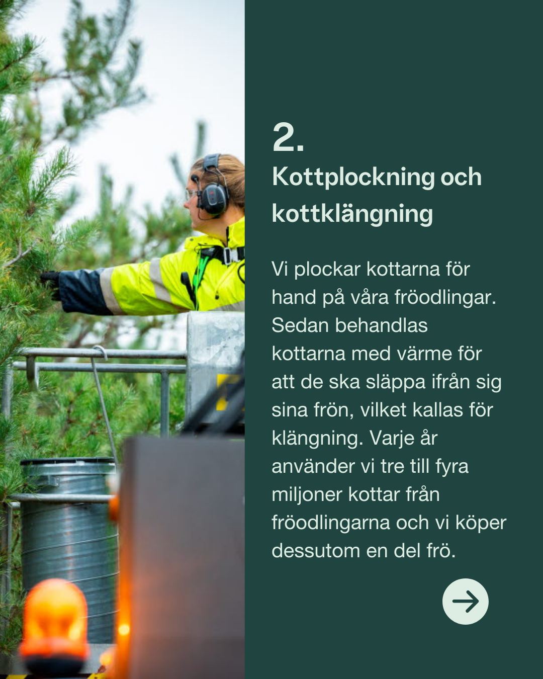 SCA - för dig som äger skog | Sundsvall