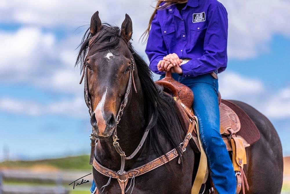 Reverse G Bar Ranch | Stavely AB