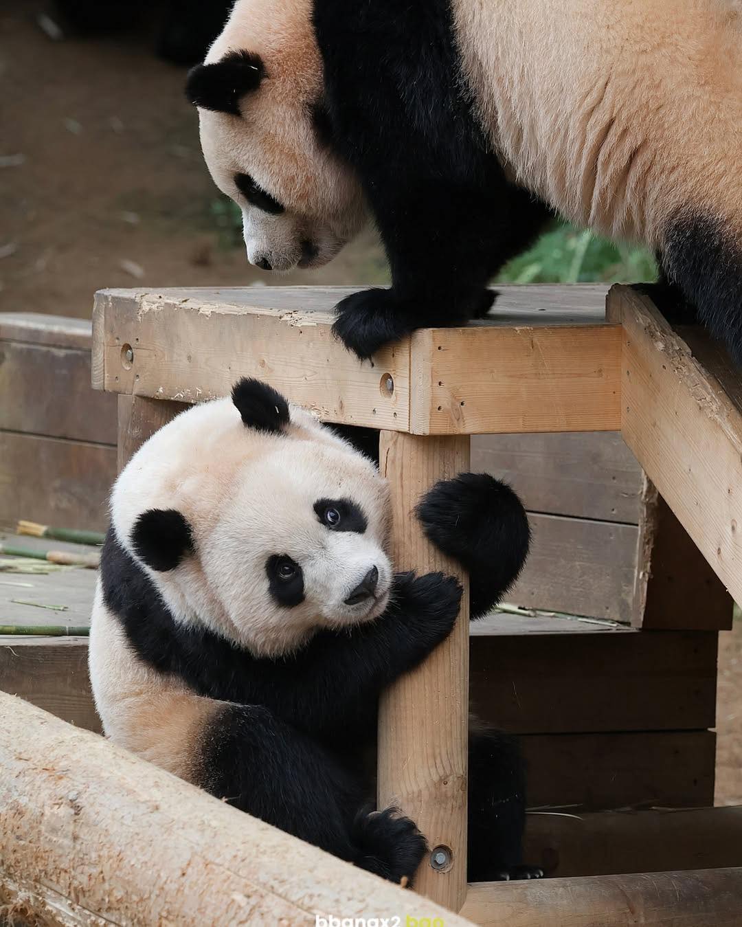 Rui Hui đáng yêu added a new photo. - Rui Hui đáng yêu