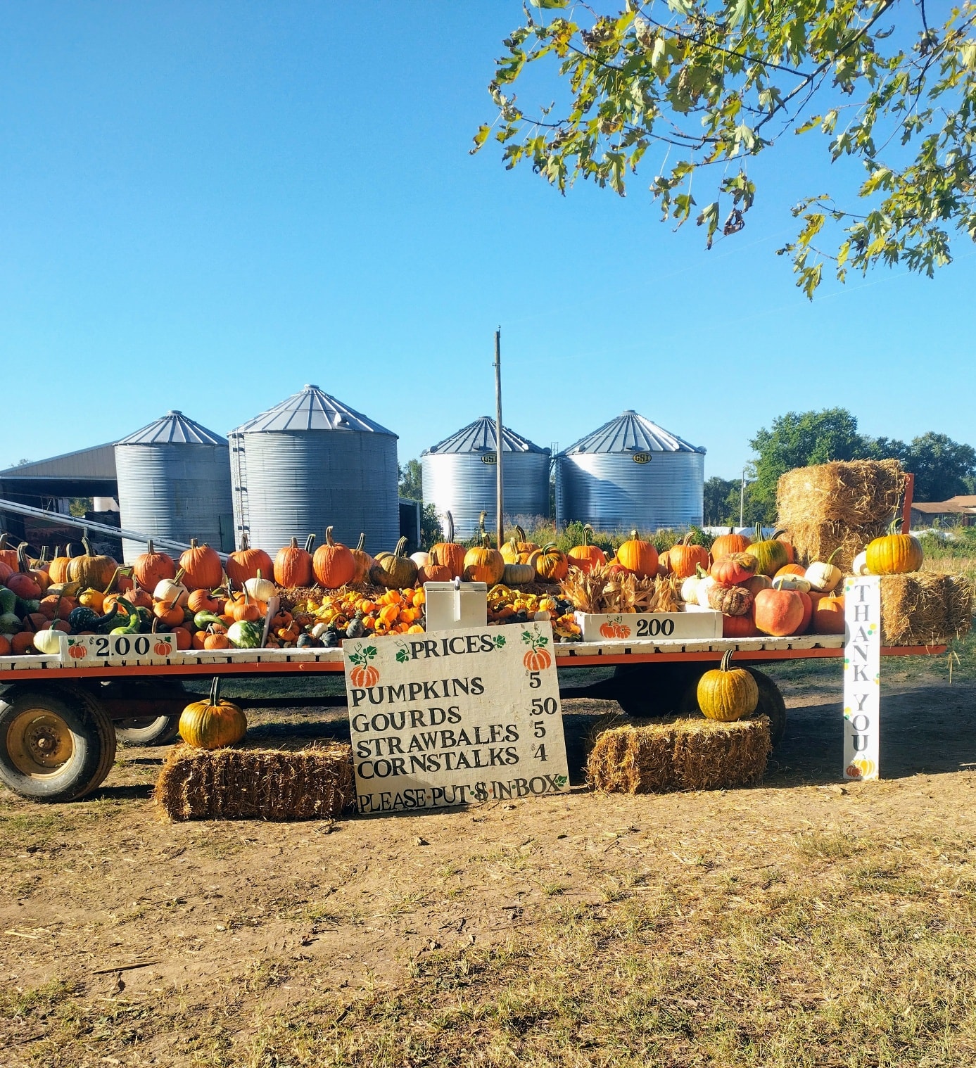 Martin Dairy Farms Inc. added a... - Martin Dairy Farms Inc.