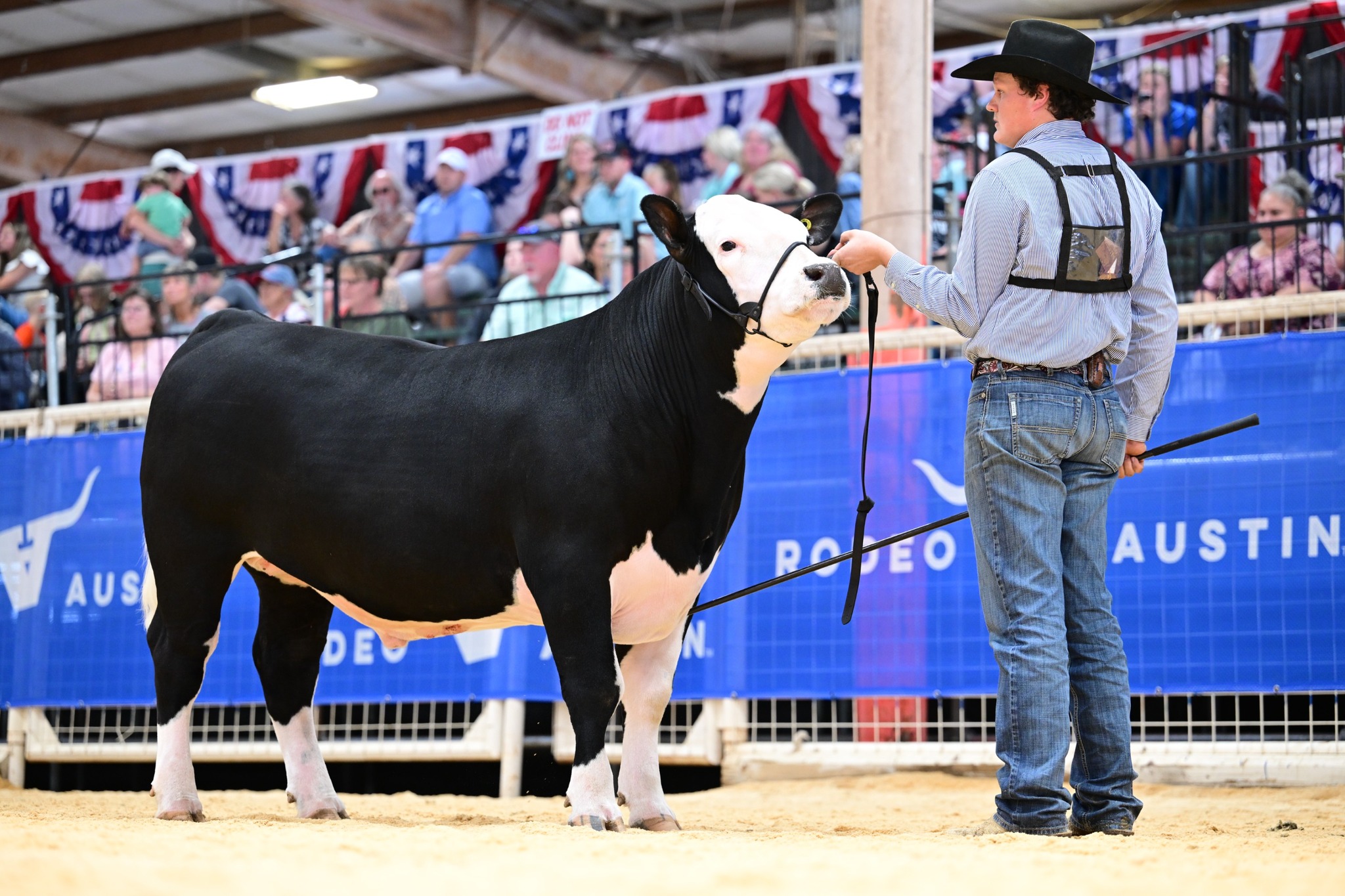 Rodeo - Rodeo Austin Competitive Events entries for 2026 are NOW OPEN ...
