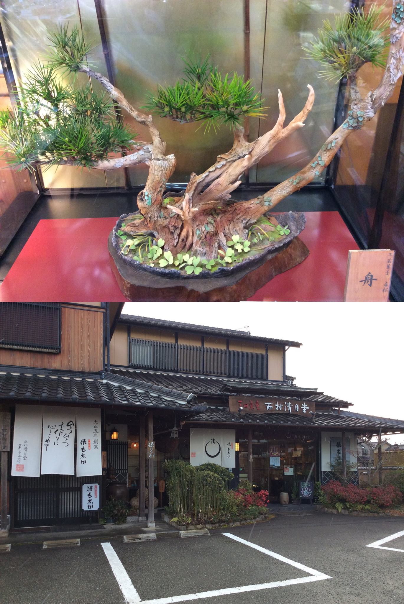 さんだ観光ガイド