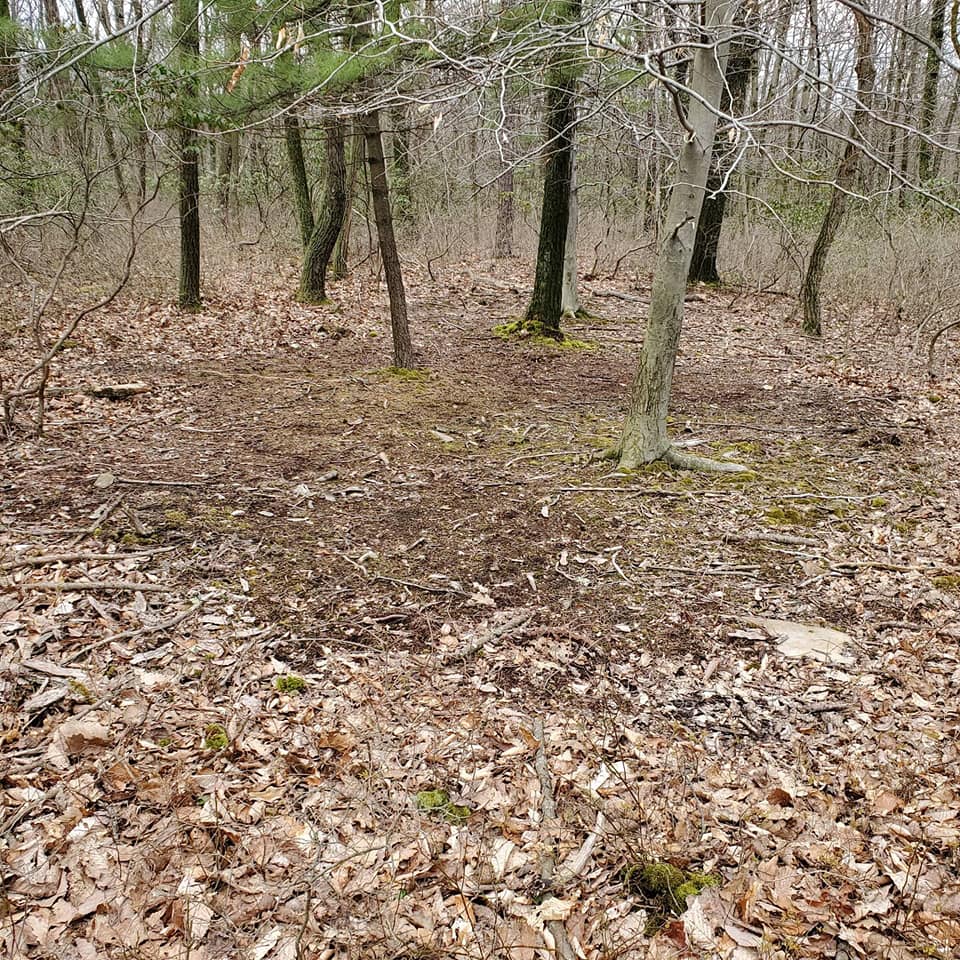 COMMUNITY SCRAPES... what's... - Anthracite Antler Addicts