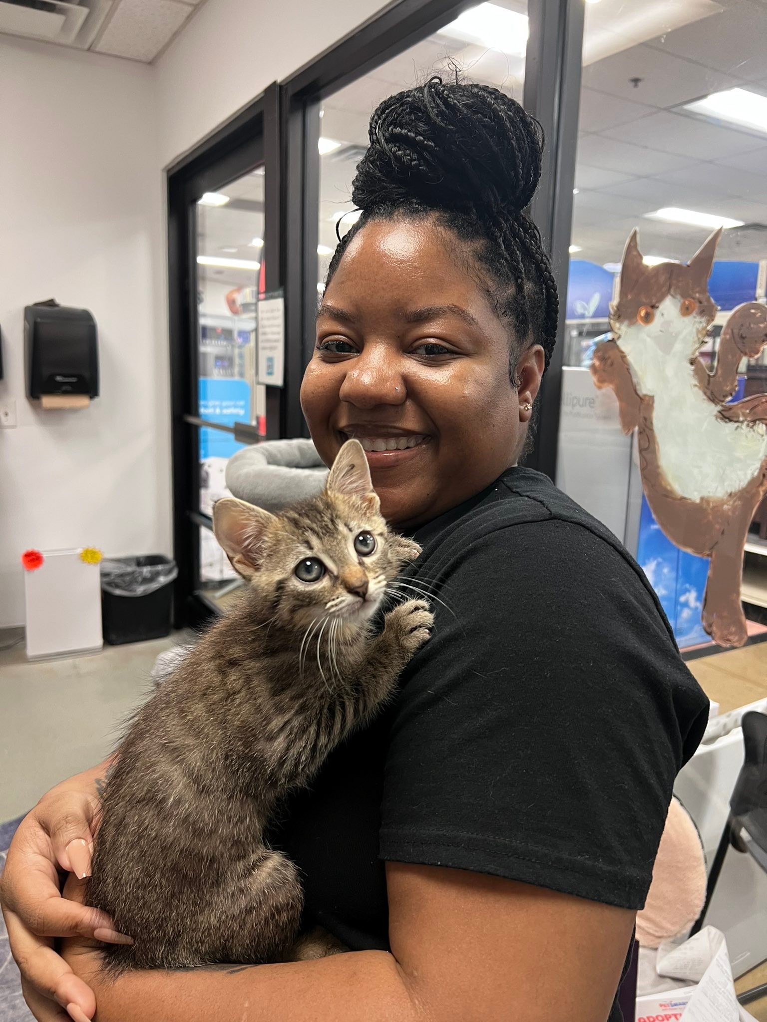 Kitty Angel Rescue | Kennesaw GA