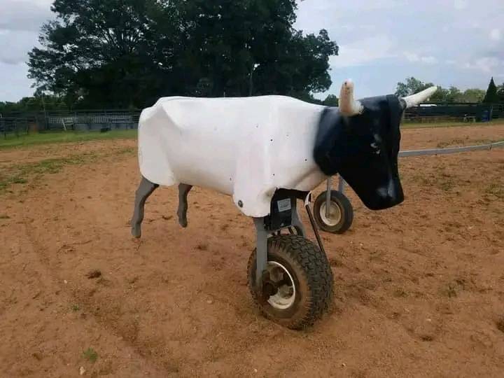 Buford Roping Dummy. still... - Team roping dummies for sale | Facebook