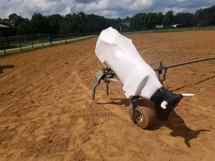 Buford Roping Dummy. still... - Team roping dummies for sale | Facebook