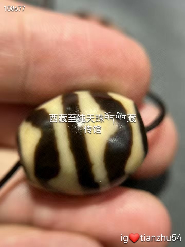 西藏传承虎牙达洛天珠咬色非常漂亮，韵味浓厚古朴，一颗虎牙达洛天珠