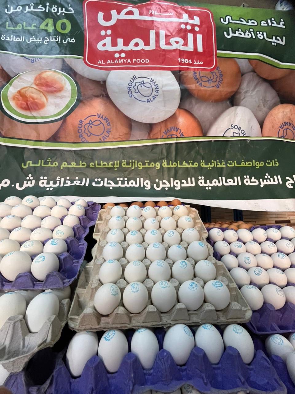 عارفين زمان كان في كل منطقة... - مباشر من مدينة الشيخ زايد | Facebook
