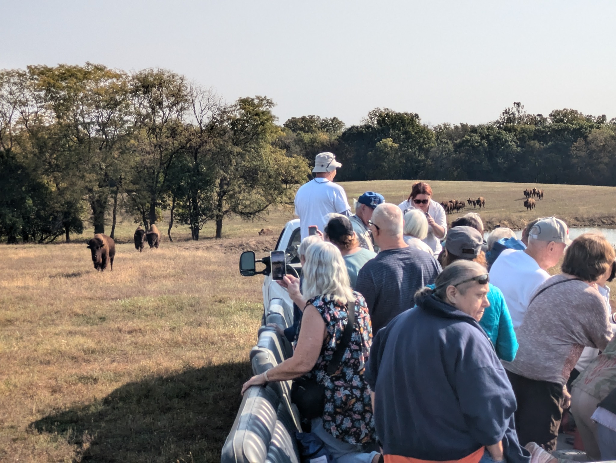 JCPRD 50 Plus | 50 Plus Travel recently visited Crown B Bison Ranch in ...