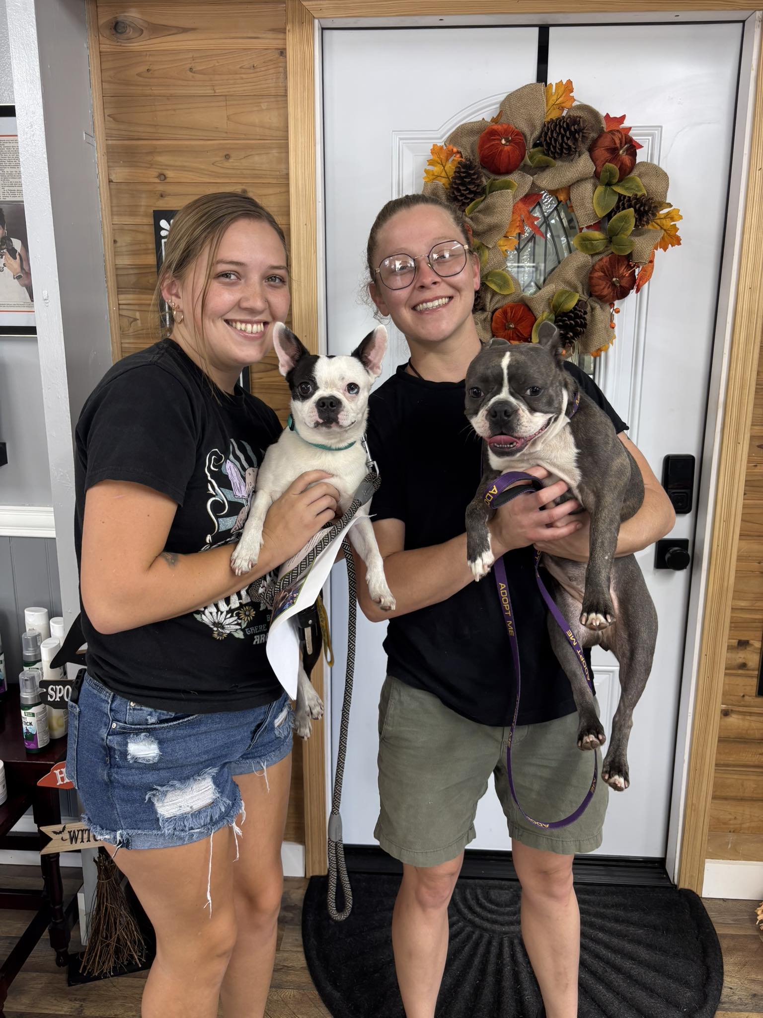 Macy Grace and her new sister …... - Lake City Humane Society | Facebook