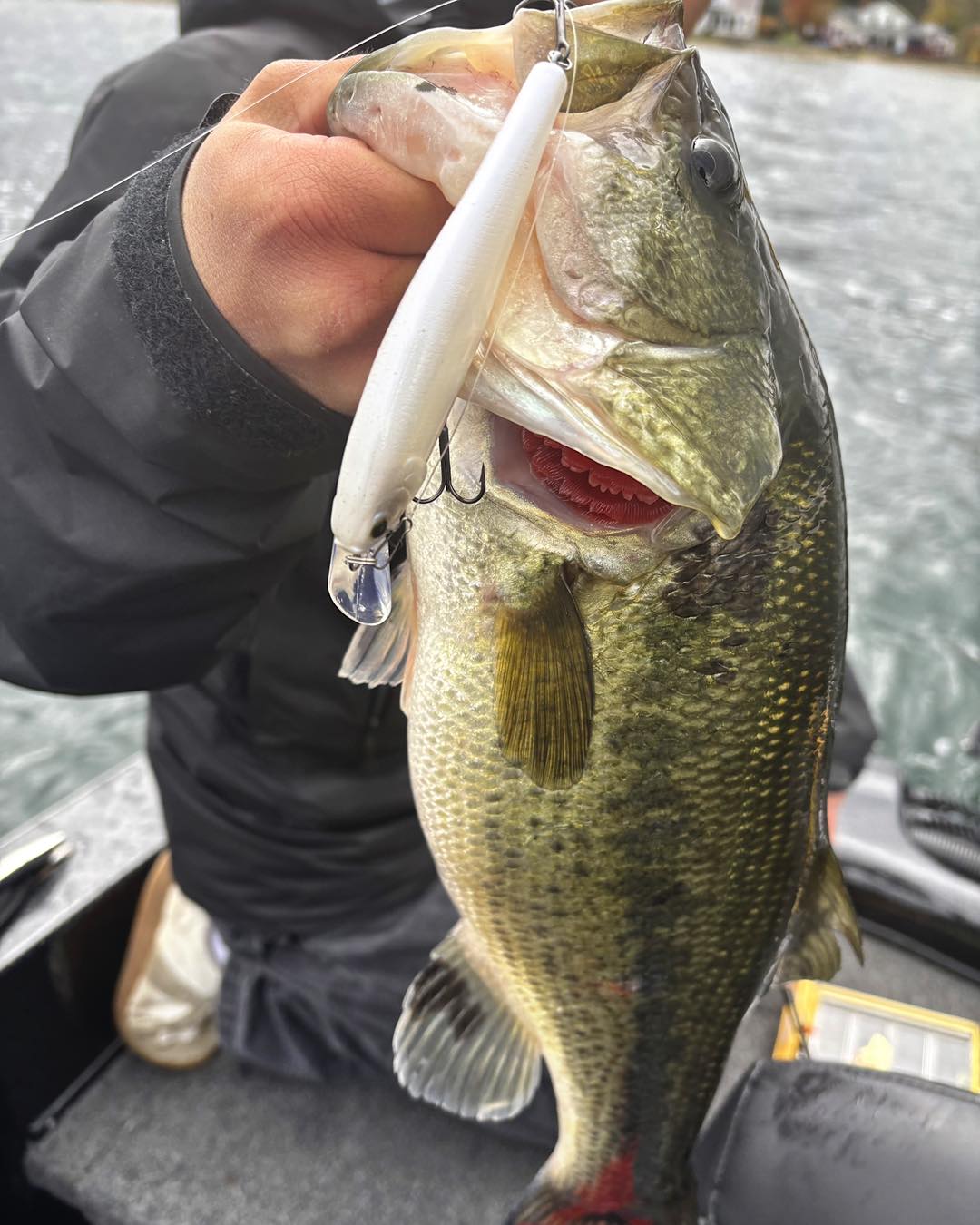 Lucky - “The Pointer 100 in French Pearl OB is a unique stick bait. It ...