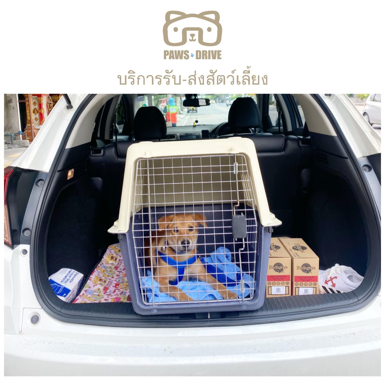 PAWS DRIVE - เปิดรับงานแล้วนะค้าาาาาาา ทุกการเดินทางเราทำความสะอาดทุก ...