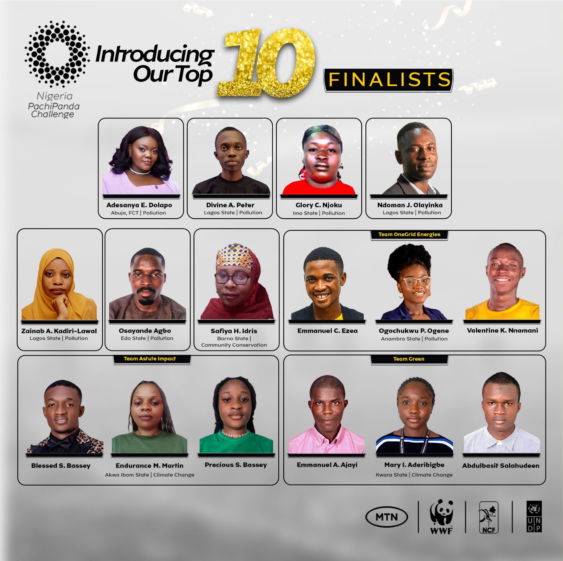 MTN - Introducing the top 10 finalists of the MTN PachiPanda Challenge ...
