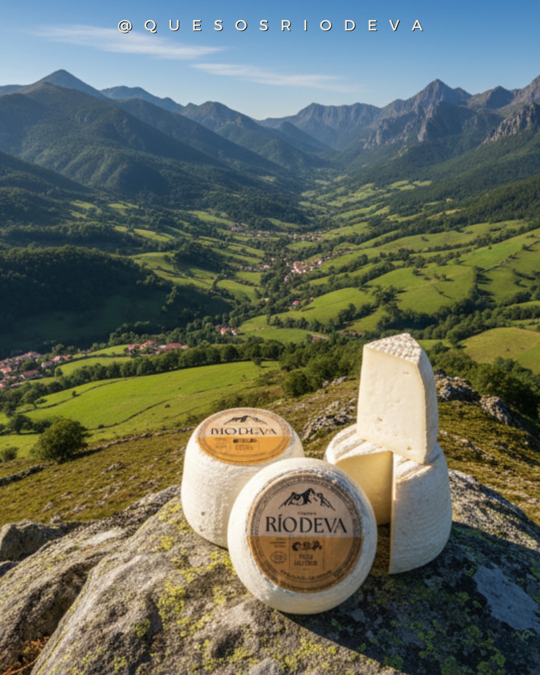 Quesos - El Queso Tres Leches de Río Deva 🧀 es un auténtico emblema de ...