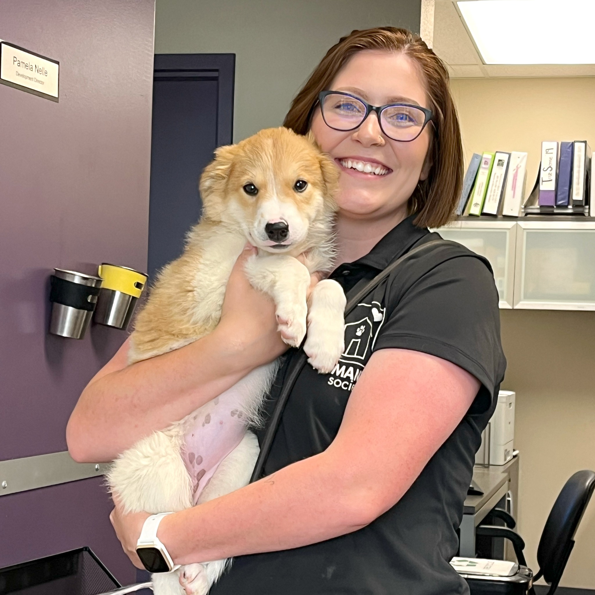 Animal Behavior Research Jobs