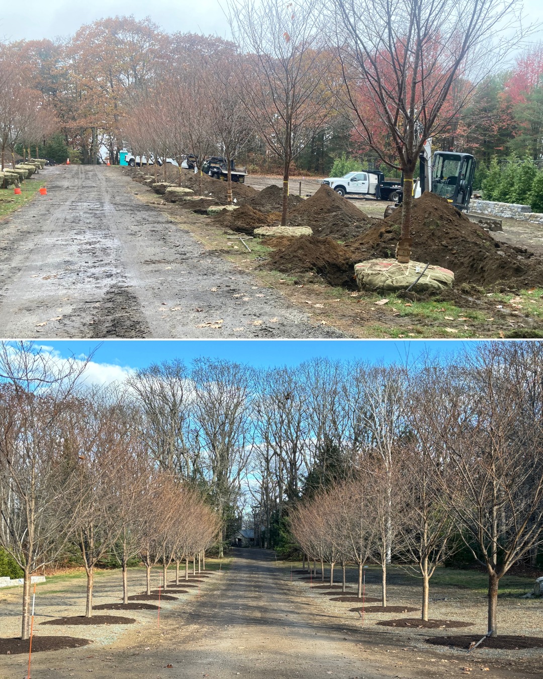 Piscataqua Landscaping and Tree Service - 🌳 When thoughtfully planned ...