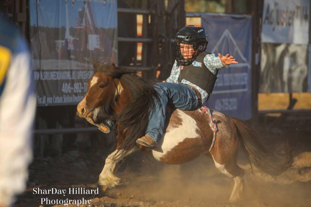Brash Rodeo | Columbia Falls MT