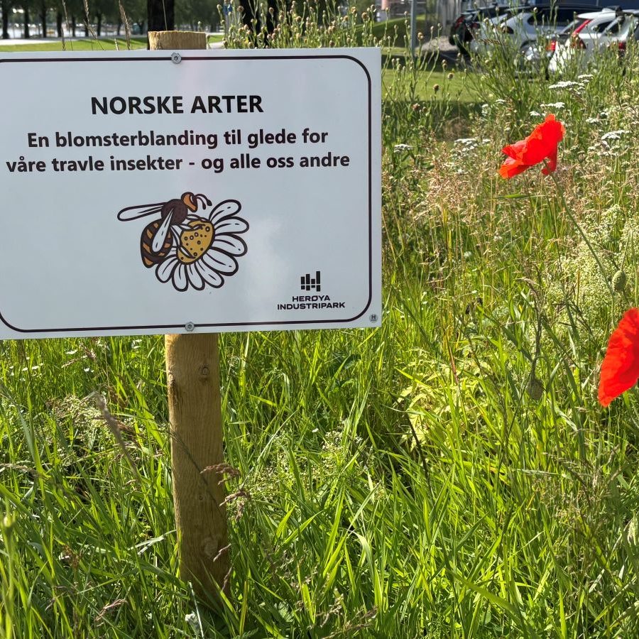 Herøya Industripark AS - Fra venstre på første rekke: Jarann Wold ...