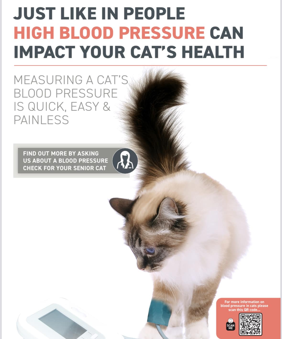 The Chapel - 🐱 Hypertension is the medical term for high blood pressure ...