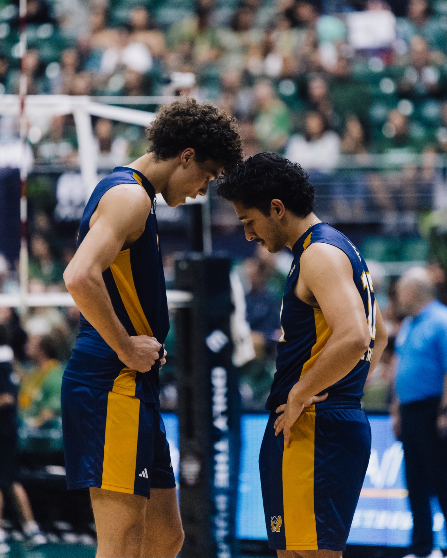 UC Irvine Men's Volleyball