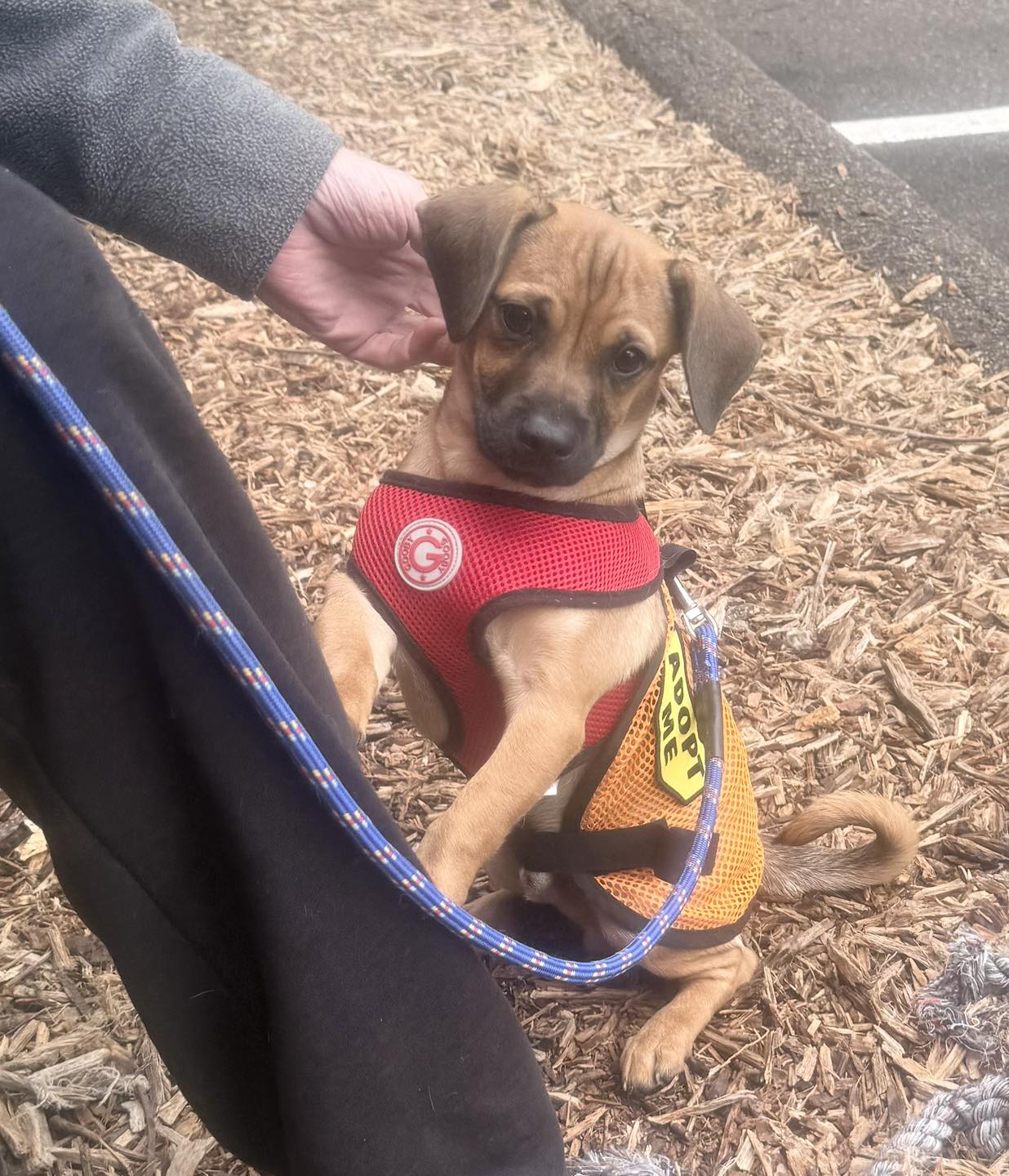 Open Arms Rescue - San Diego