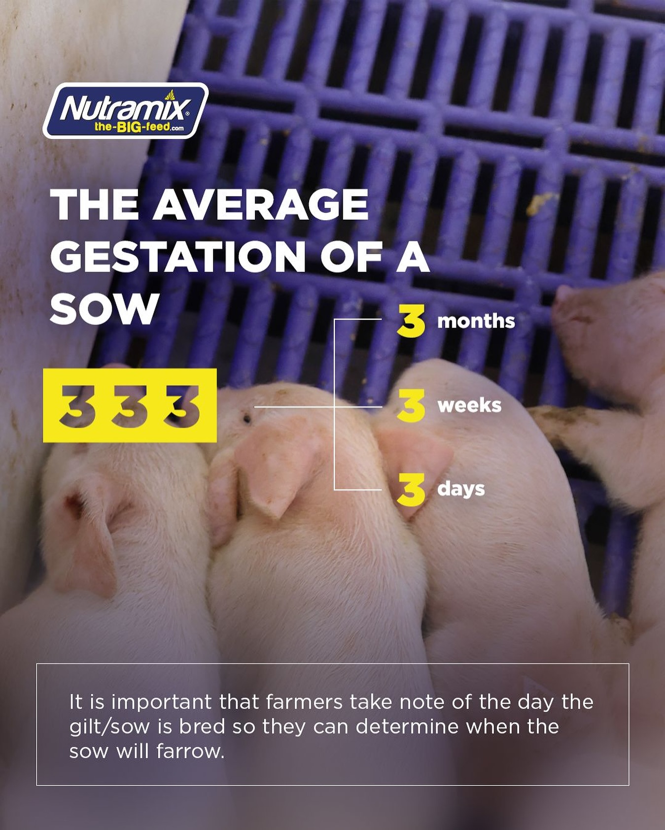 Nutramix - Did you know? The acronym to help farmers... | Facebook