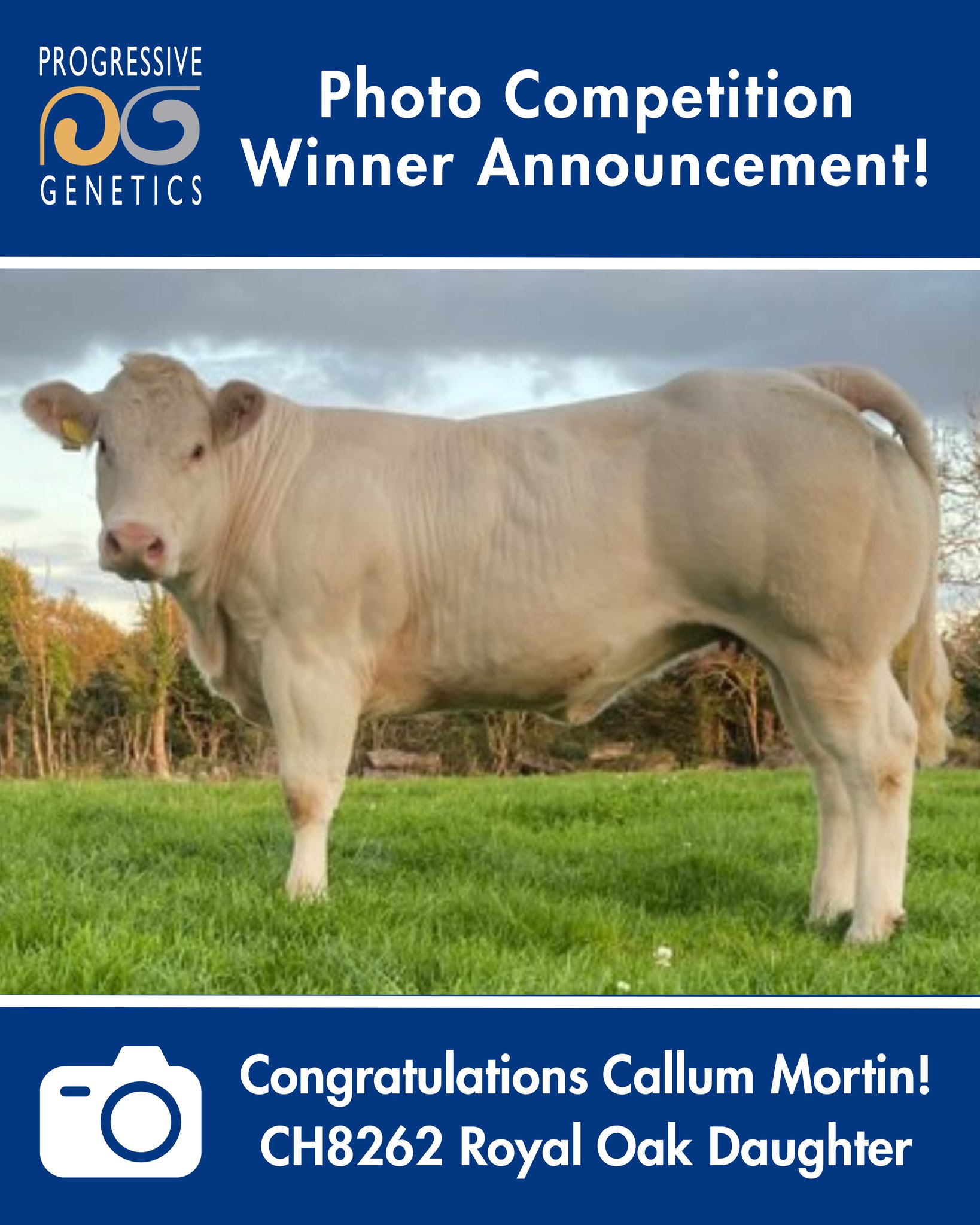 Progressive - 🚨Photo Competition Winner Announcement 📣 Congratulations ...
